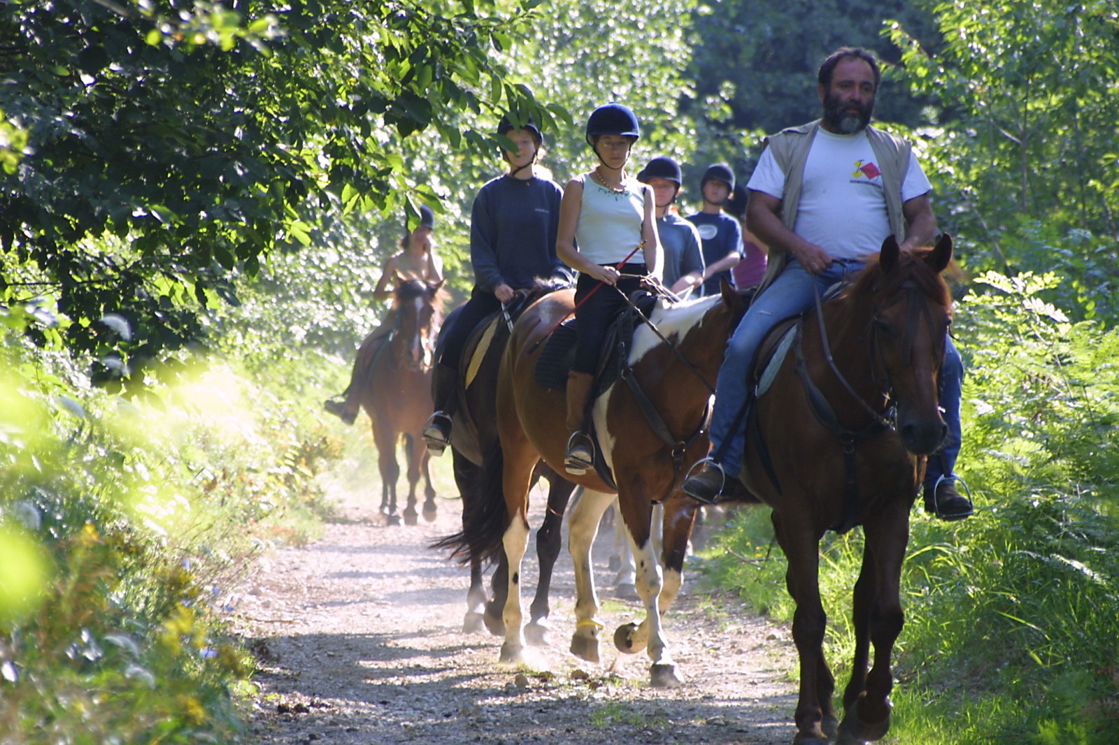 Randonnée à cheval dans le Jura